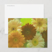 Yellow Gerbera Daisy Blume Foto Postkarten (Vorne/Hinten)