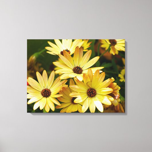 Yellow Gerbera Daisy Blume Leinwand Art (Vorderseite)