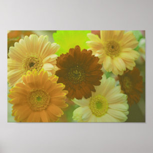 Yellow Gerbera Daisy Blume Wall Art Print Poster