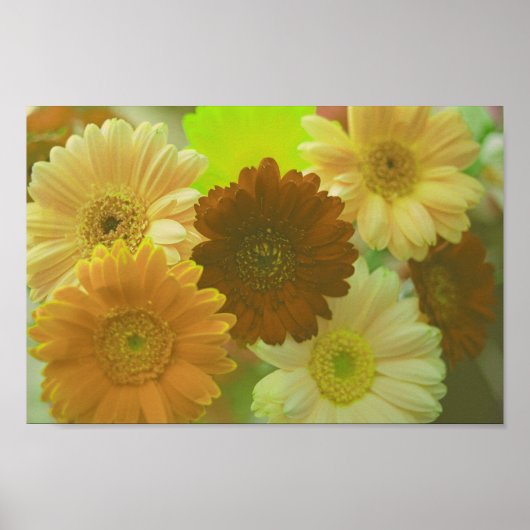 Yellow Gerbera Daisy Blume Wall Art Print Poster (Vorne)