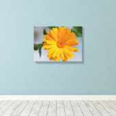 Yellow Gerbera Daisy Wildblume Leinwanddruck (Insitu (Holzboden))