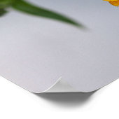 Yellow Gerbera Daisy Wildblume Poster (Ecke)