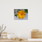 Yellow Gerbera Daisy Wildblume Poster (Küche)