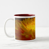 Yellow Gerbera Tasse (Links)