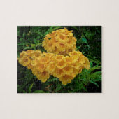 Yellow Ginger Thomas Jungfrau Islands Blume Puzzle (Horizontal)