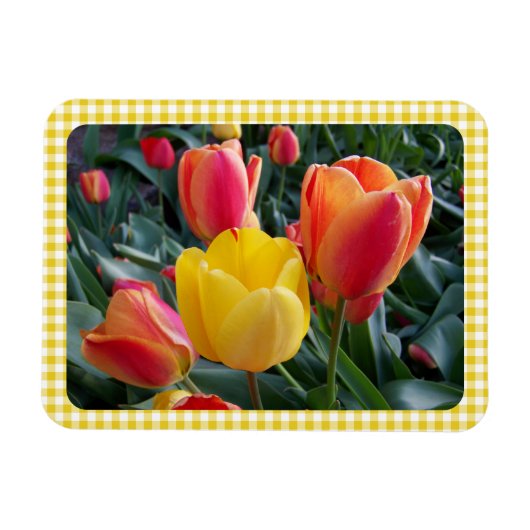 Yellow Gingham Plaid Tulips Garden Photo Magnet (Horizontal)