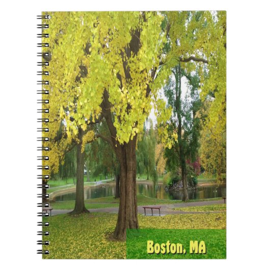 Yellow Gingko Tree - Boston Public Garden Notizblock (Vorderseite)