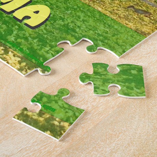 Yellow Gingko Tree - Boston Public Garden Puzzle (Seite)