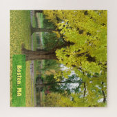 Yellow Gingko Tree - Boston Public Garden Puzzle (Horizontal)