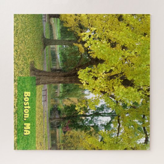 Yellow Gingko Tree - Boston Public Garden Puzzle (Horizontal)