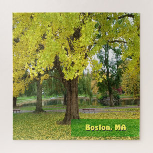 Yellow Gingko Tree - Boston Public Garden Puzzle