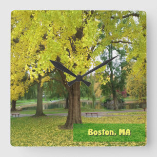 Yellow Gingko Tree - Boston Public Garden Quadratische Wanduhr