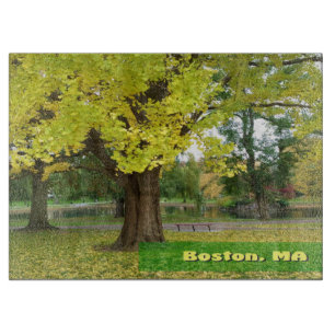 Yellow Gingko Tree - Boston Public Garden Schneidebrett