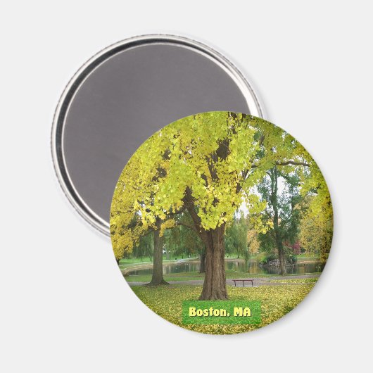 Yellow Gingko Tree Magnet (Vorderseite/Rückseite)