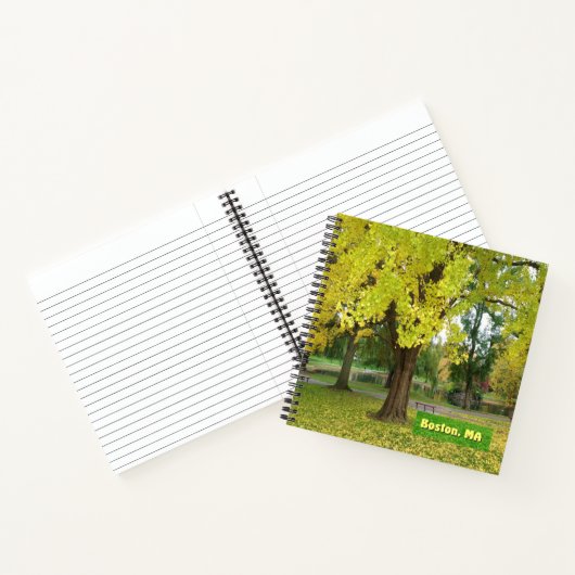 Yellow Gingko Tree Notizblock (Innenseite)