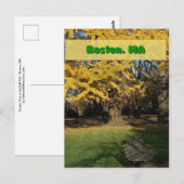Yellow Gingko Tree Postkarte (Vorne/Hinten)