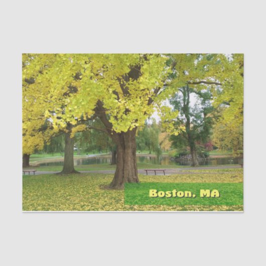 Yellow Gingko Tree Seidenpapier (Vorderseite)