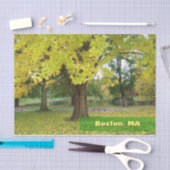 Yellow Gingko Tree Seidenpapier (Handwerk)