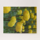 Yellow Globe Blume Jigsaw Puzzle (Horizontal)