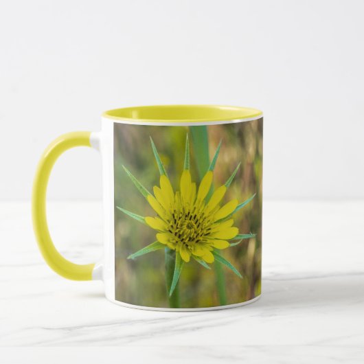 Yellow Goat's Beard Tasse (Links)