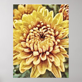 Yellow Gold Mum Blume Fotokunst Print Poster