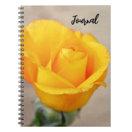 Yellow Gold Rose Blume Art Journal Notizblock (Vorderseite)