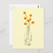 Yellow happy Billy Button Blume Australische Kunst Postkarte (Vorne/Hinten)