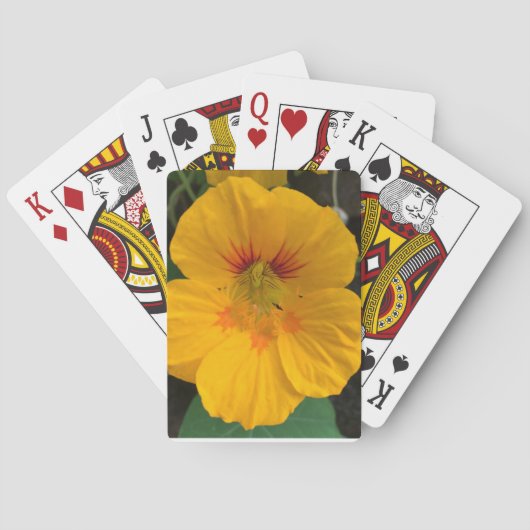 Yellow Hawaiian Blume Deck of Cards - Aloha! Spielkarten (Rückseite)
