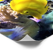 Yellow Hawaiian Tang Fish Poster (Ecke)