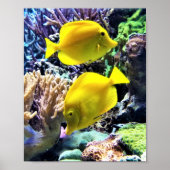 Yellow Hawaiian Tang Fish Poster (Vorne)