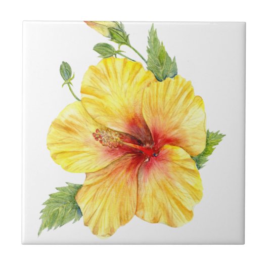 Yellow Hibiscus Botanical Fliese (Vorderseite)