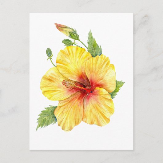 Yellow Hibiscus Botanical Postkarte (Vorderseite)