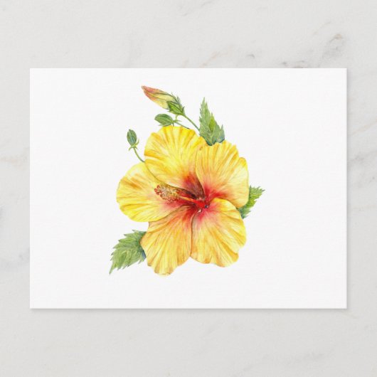 Yellow Hibiscus Botanical Postkarte (Vorderseite)