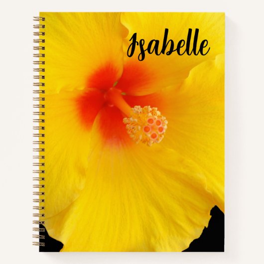 Yellow Hibiscus Flower Photo Notizblock (Vorderseite)