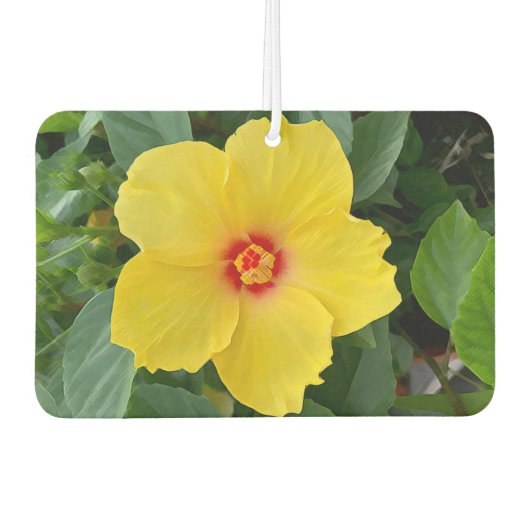Yellow Hibiskus Air Freshener Autolufterfrischer (Vorderseite)