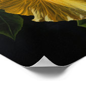 Yellow Hibiskus Blume Art Print Poster (Ecke)