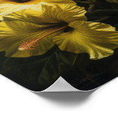 Yellow Hibiskus Blume Art Print Poster (Ecke)