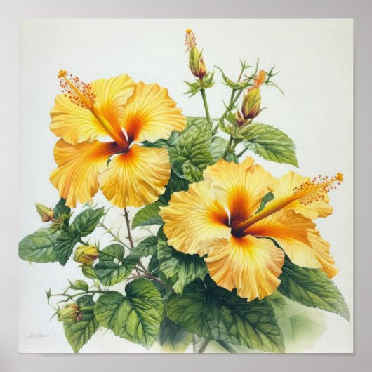 Yellow Hibiskus Blume Art Print Poster (Vorne)