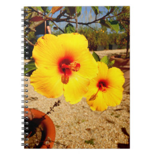 Yellow Hibiskus Foto Notebook Notizblock