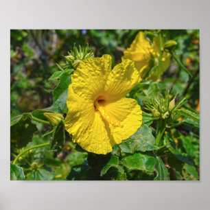 Yellow Hibiskus Hawaii Staat Blume Poster