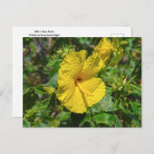 Yellow Hibiskus Hawaii Staat Blume Postkarte (Vorne/Hinten)