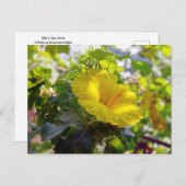 Yellow Hibiskus Hawaii Staat Blume Postkarte (Vorne/Hinten)