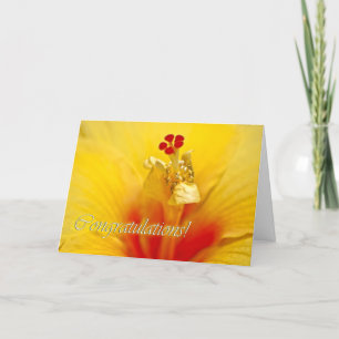 Yellow Hibiskus Herzlichen Glückwunsch Karte
