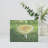 Yellow Huge Mushroom Postcard Postkarte (Stehend Vorderseite)
