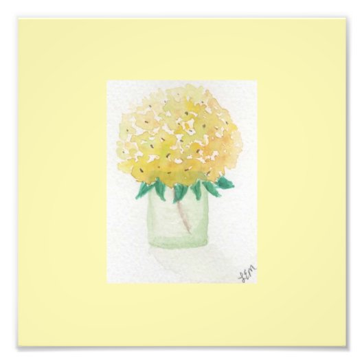 Yellow Hydrangea Fotodruck (Vorne)