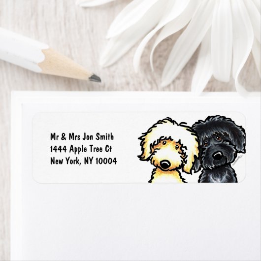 Yellow in Black Labradoodle (Insitu)