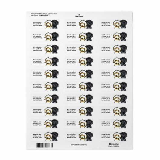 Yellow in Black Labradoodle (Vorne)