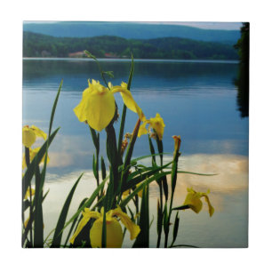 Yellow Iris am Lake Shore Fliese