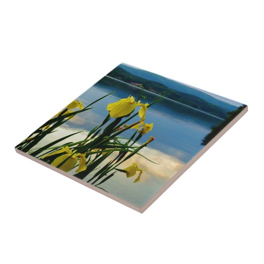 Yellow Iris am Lake Shore Fliese (Seite)
