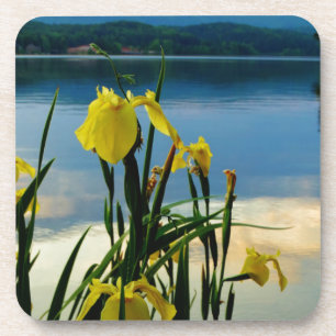 Yellow Iris am Lake Shore Getränkeuntersetzer
